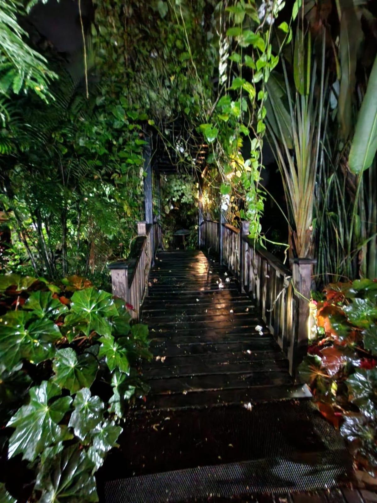 Diuwak Otel Dominical Dış mekan fotoğraf