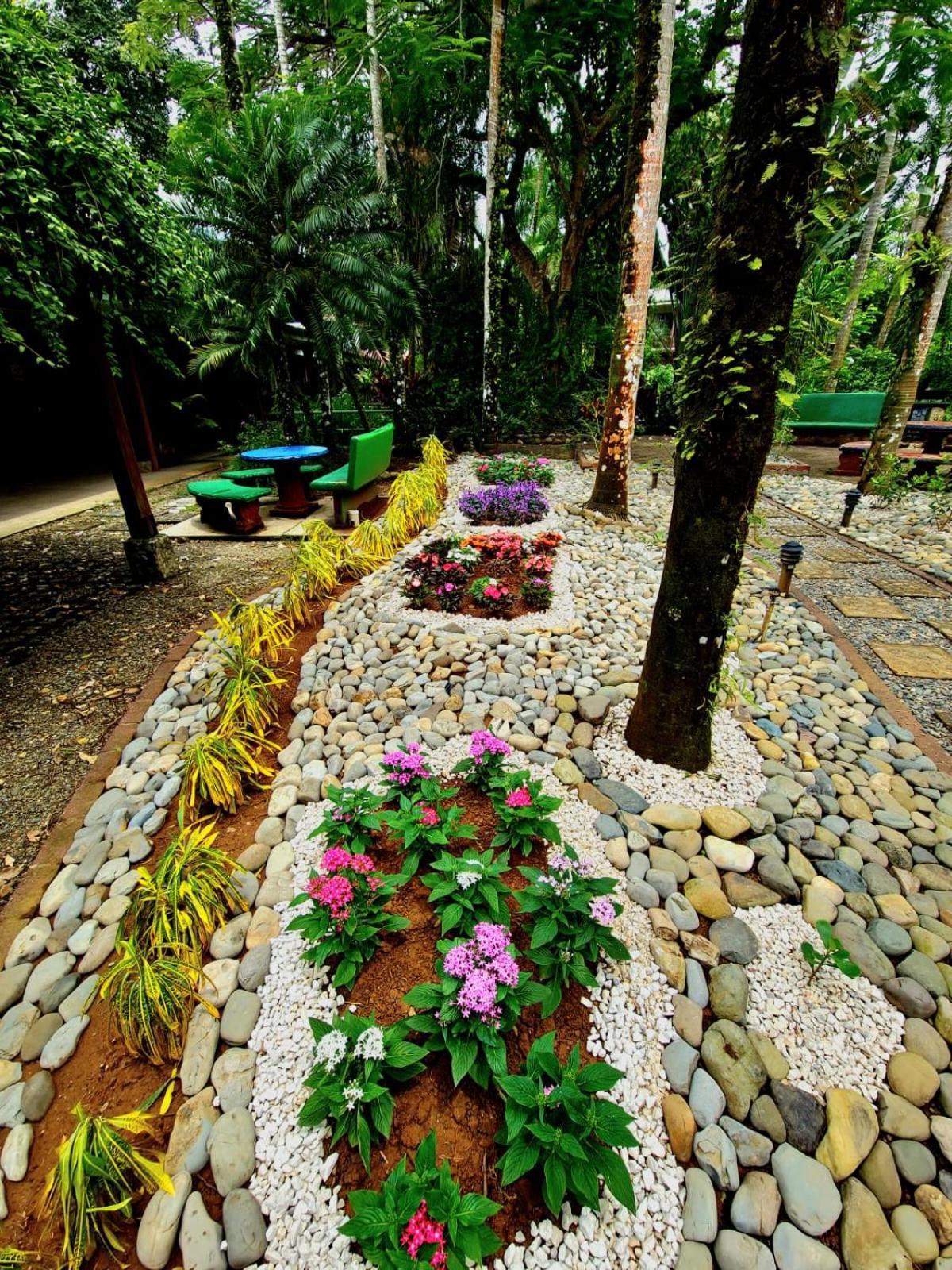 Diuwak Otel Dominical Dış mekan fotoğraf